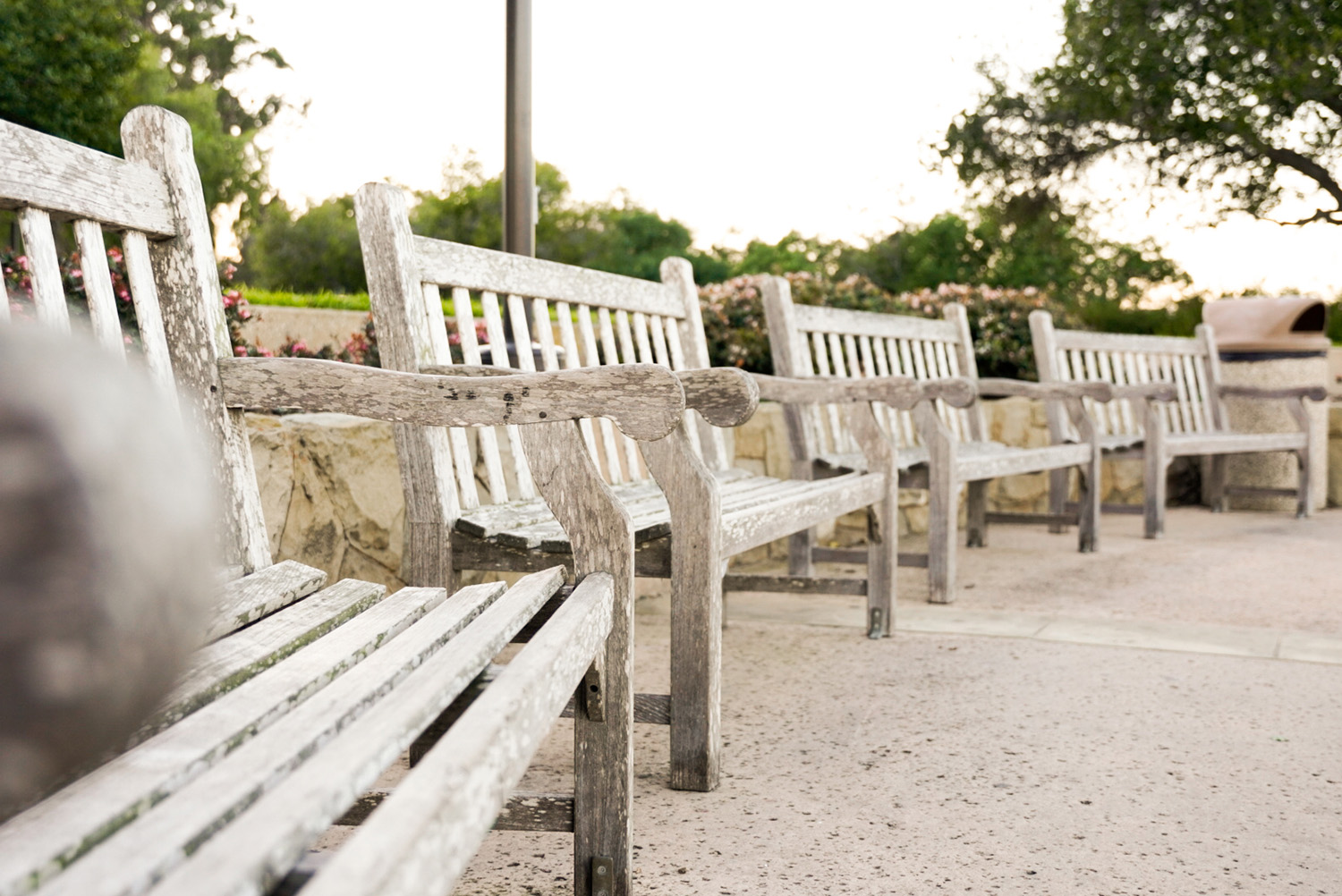 Winslow Maxwell Overlook Benches